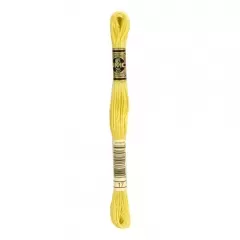 Нить мулине DMC 17
                , (арт. 16690)