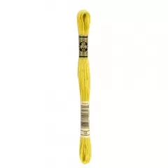 Нить мулине DMC 18
                , (арт. 16693)