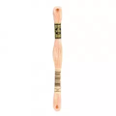 Нить мулине DMC 20
                , (арт. 16714)