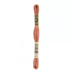 Нить мулине DMC 21
                , (арт. 16704)