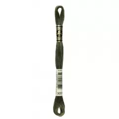 Нитка мулине DMC 3051
                , (арт. 10635)