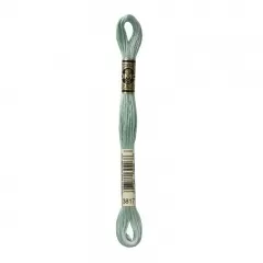 Нитка мулине DMC 3817
                , (арт. 11748)