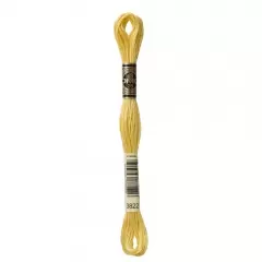 Нить мулине DMC 3822
                , (арт. 10713)