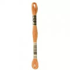 Нить мулине DMC 3854
                , (арт. 10744)