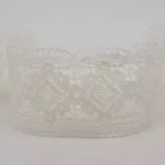 Мереживо молочне 1225/57K
                , (арт. 13254)