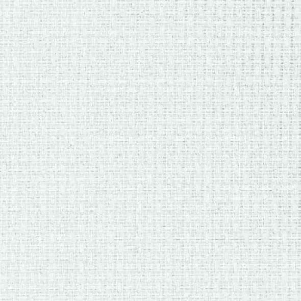 Perl-Aida 11ct 1007/110/100  (арт. 14103)