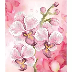 Схема "Орхидея" БС 5111
                , (арт. 18500)