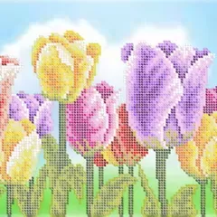 Схема "Поле тюльпанов ПМ 4052"
                