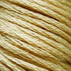 Нить Мулине Sunny Silk №738
                , (арт. 18776)