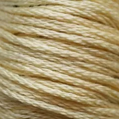 Нитки Муліне Sunny Silk №677
                , (арт. 10909)