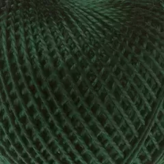 Ирис темно-болотный 3807
                , (арт. 16845)